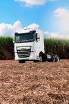 Novo-DAF-XF-Off-Road-2